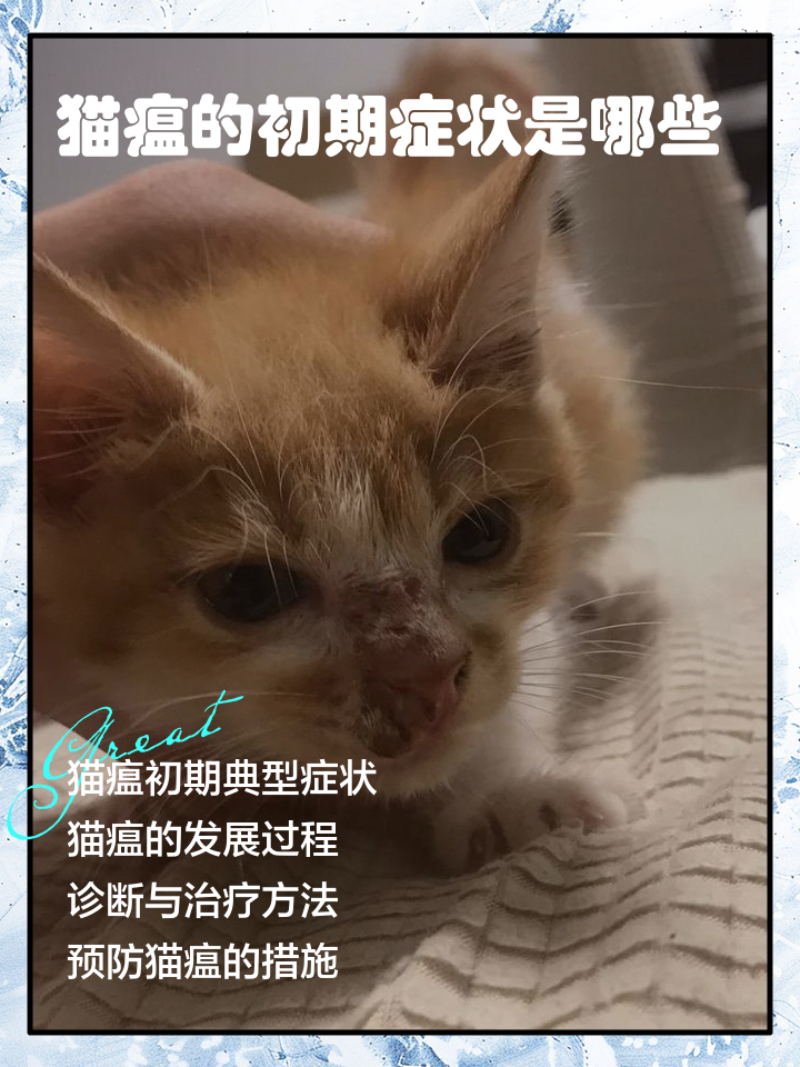 猫瘟会传染吗(猫瘟的症状是什么样的)