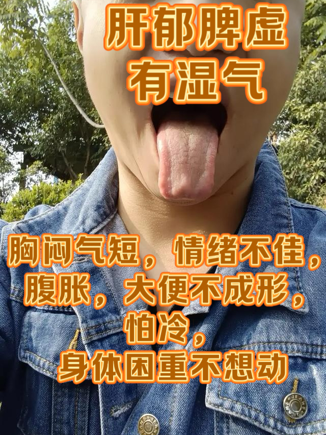 洞见肺腑(洞见肺腑和洞若观火) 洞见肺腑(洞见肺腑和洞若观火)