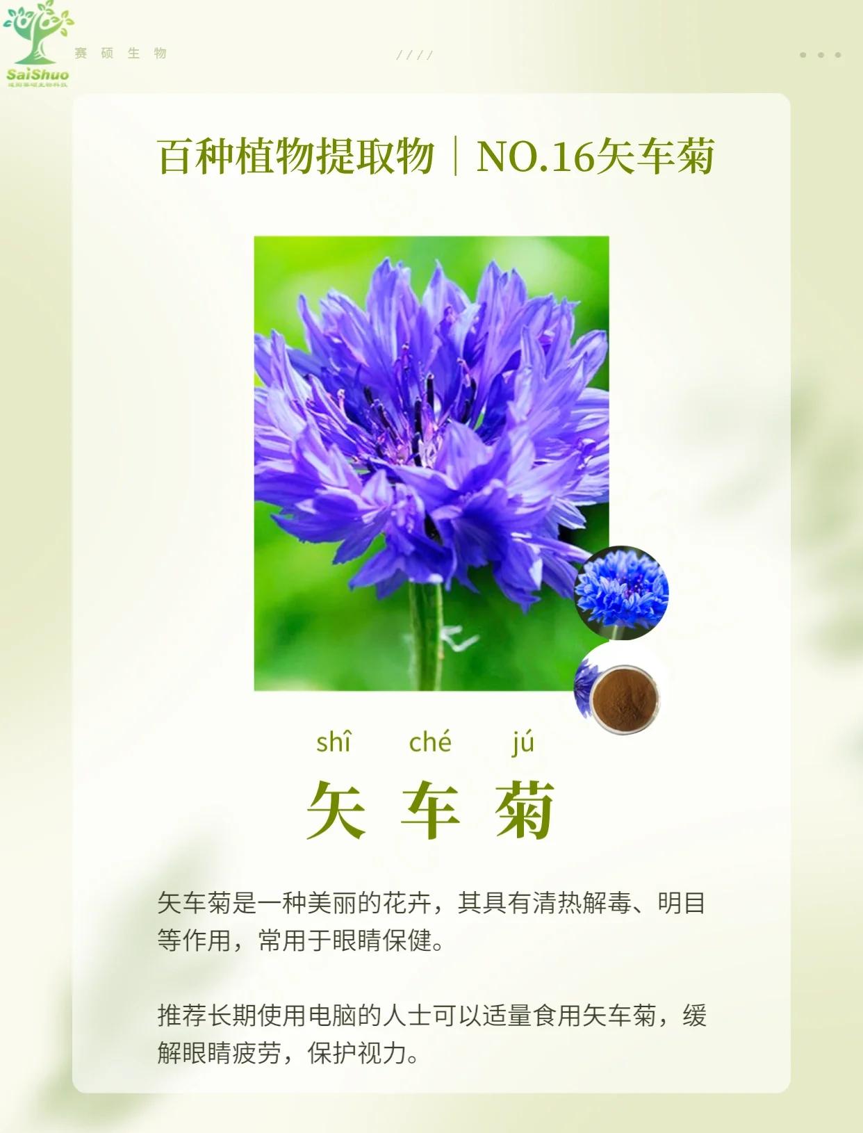 植株的拼音(植株的拼音怎么读) 植株的拼音(植株的拼音怎么读)
