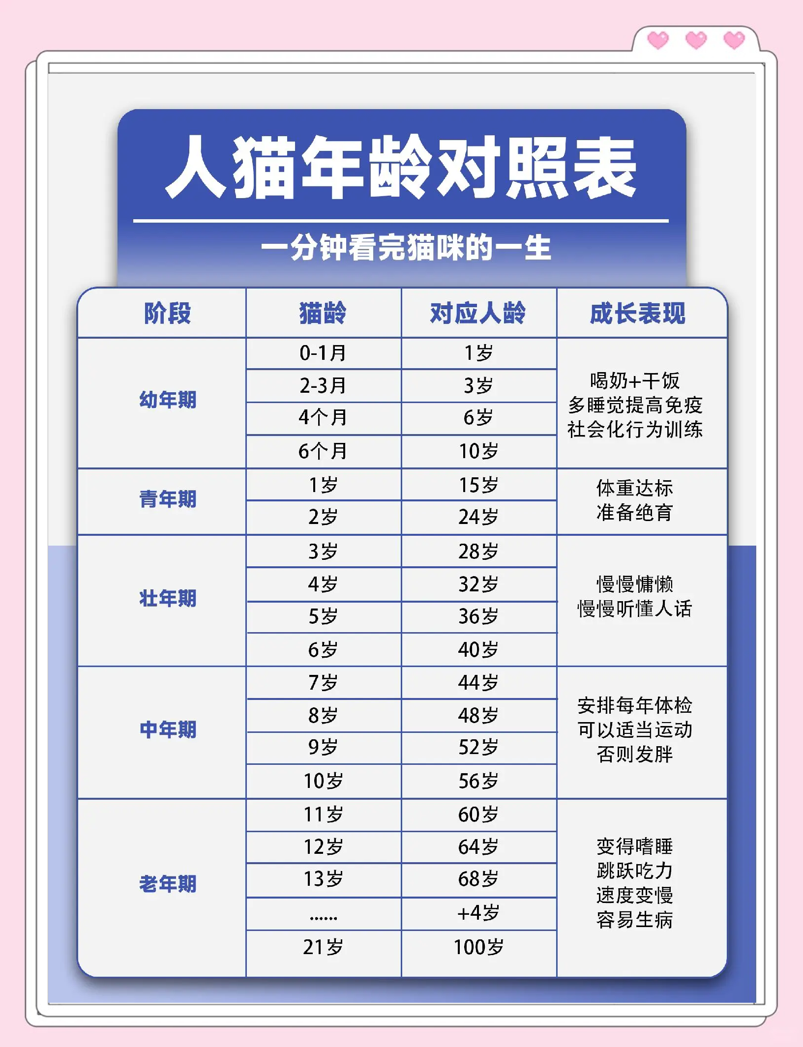 猫咪一年相当于几岁(猫咪1年相当于人类几岁)