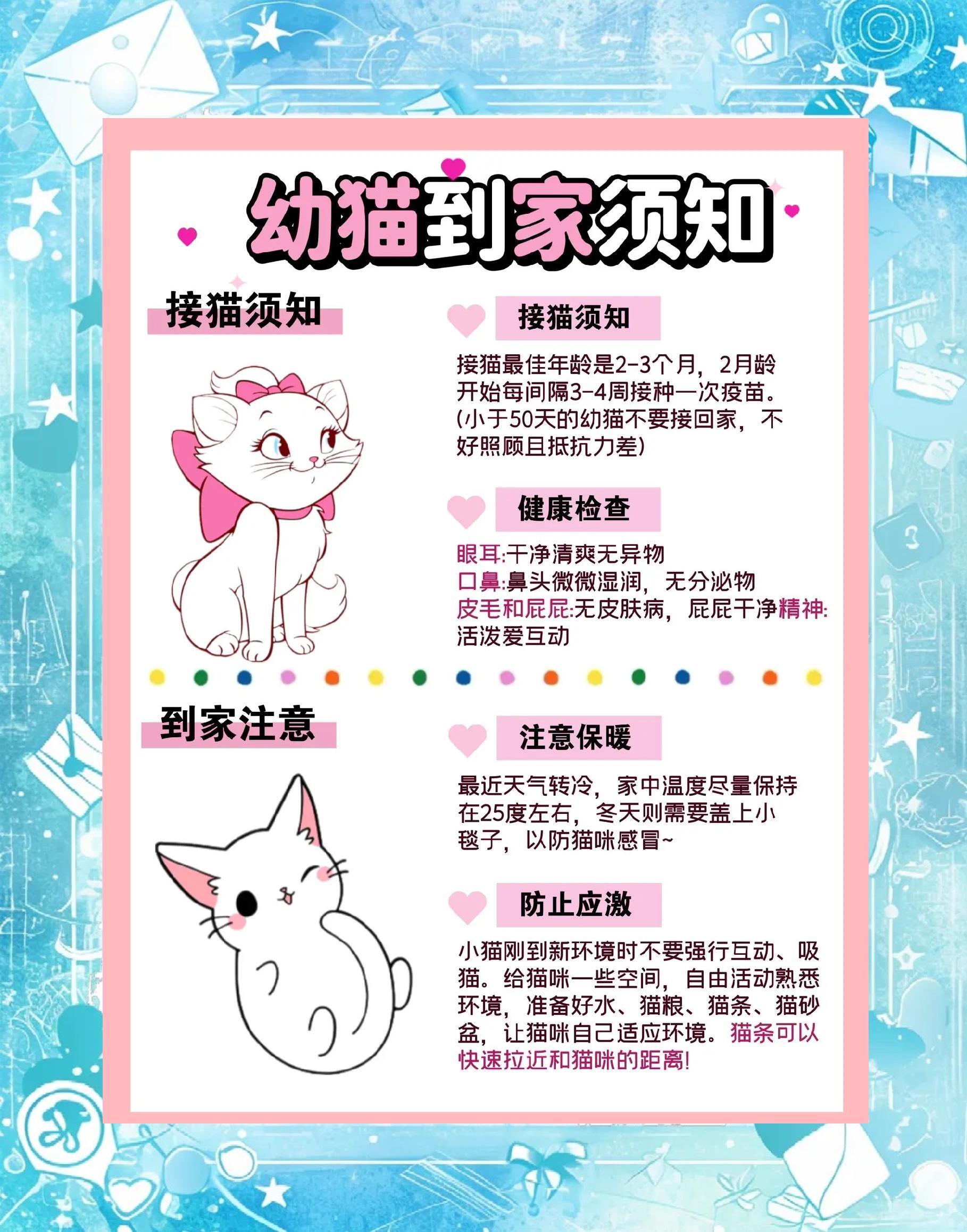 养猫好不好(风水大师说养猫好不好)