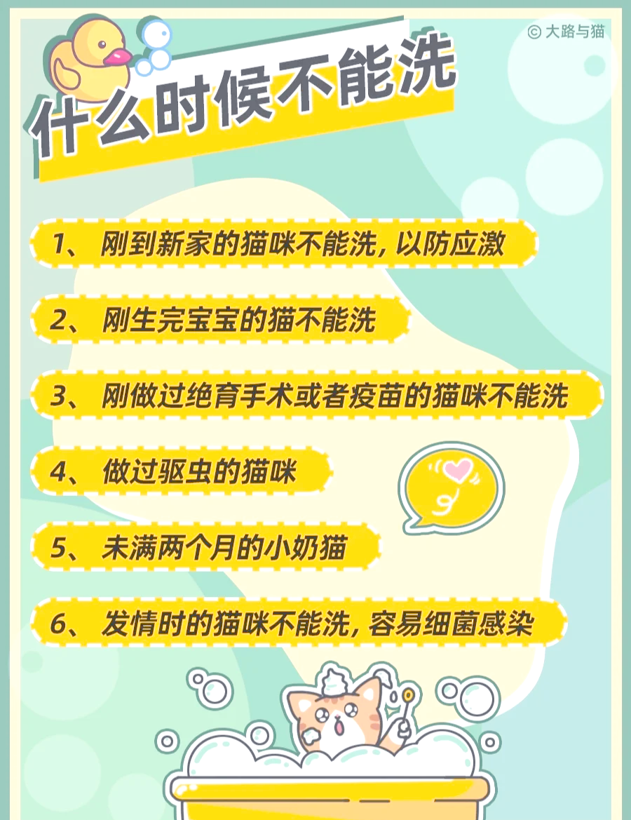小猫咪多大可以洗澡(小猫咪多大可以洗澡驱虫) 小猫咪多大可以洗澡(小猫咪多大可以洗澡驱虫)