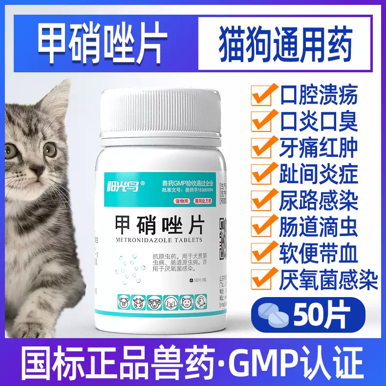 治疗猫咪口炎最有效的药(治疗猫咪口炎最有效的药有哪些)