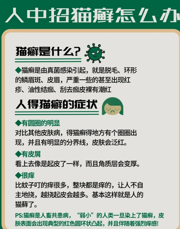 人得猫癣一般多久会好(人得猫癣一般多久会好好了之后会留疤吗) 人得猫癣一般多久会好(人得猫癣一般多久会好好了之后会留疤吗)