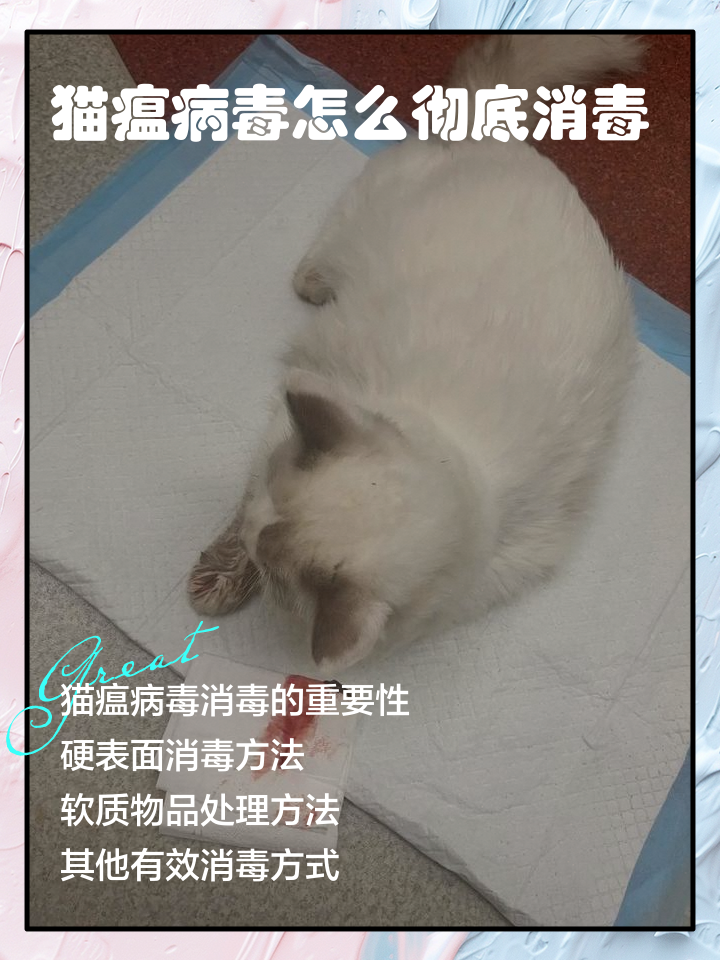 fpv猫瘟(fpv猫瘟参考范围)