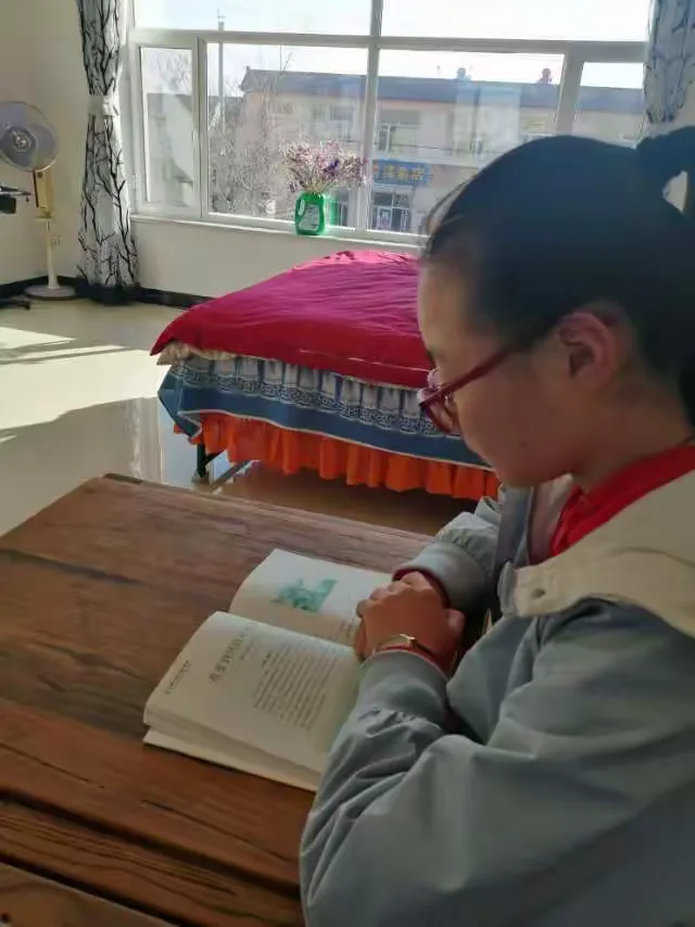 白洁传后续阅读的简单介绍