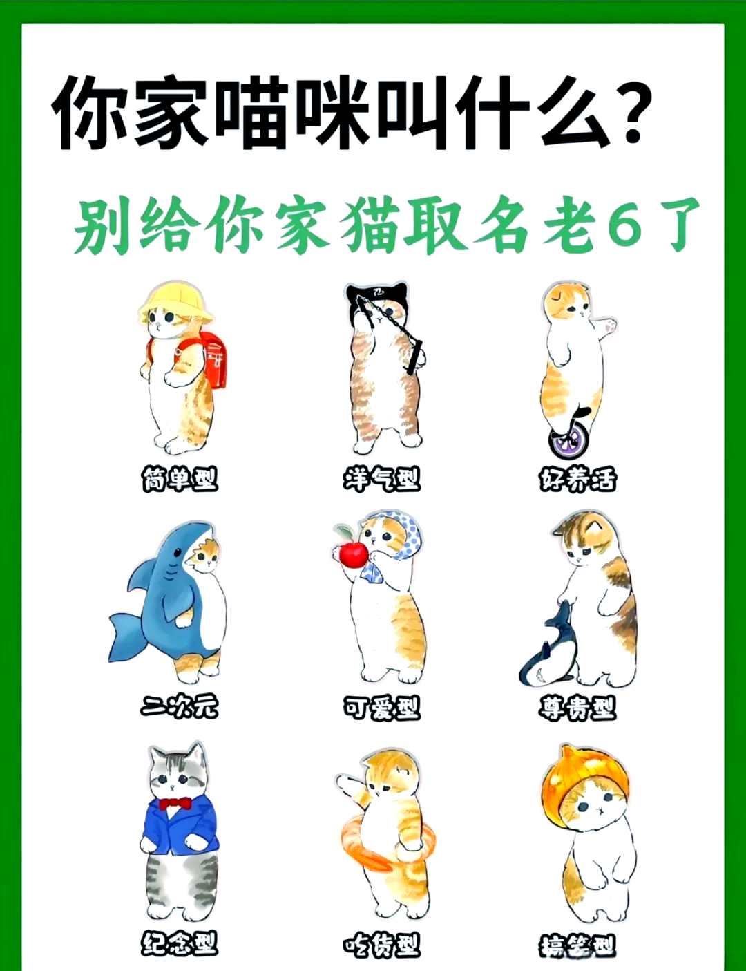 猫咪名字大全洋气招财(猫咪名字大全洋气招财可爱)