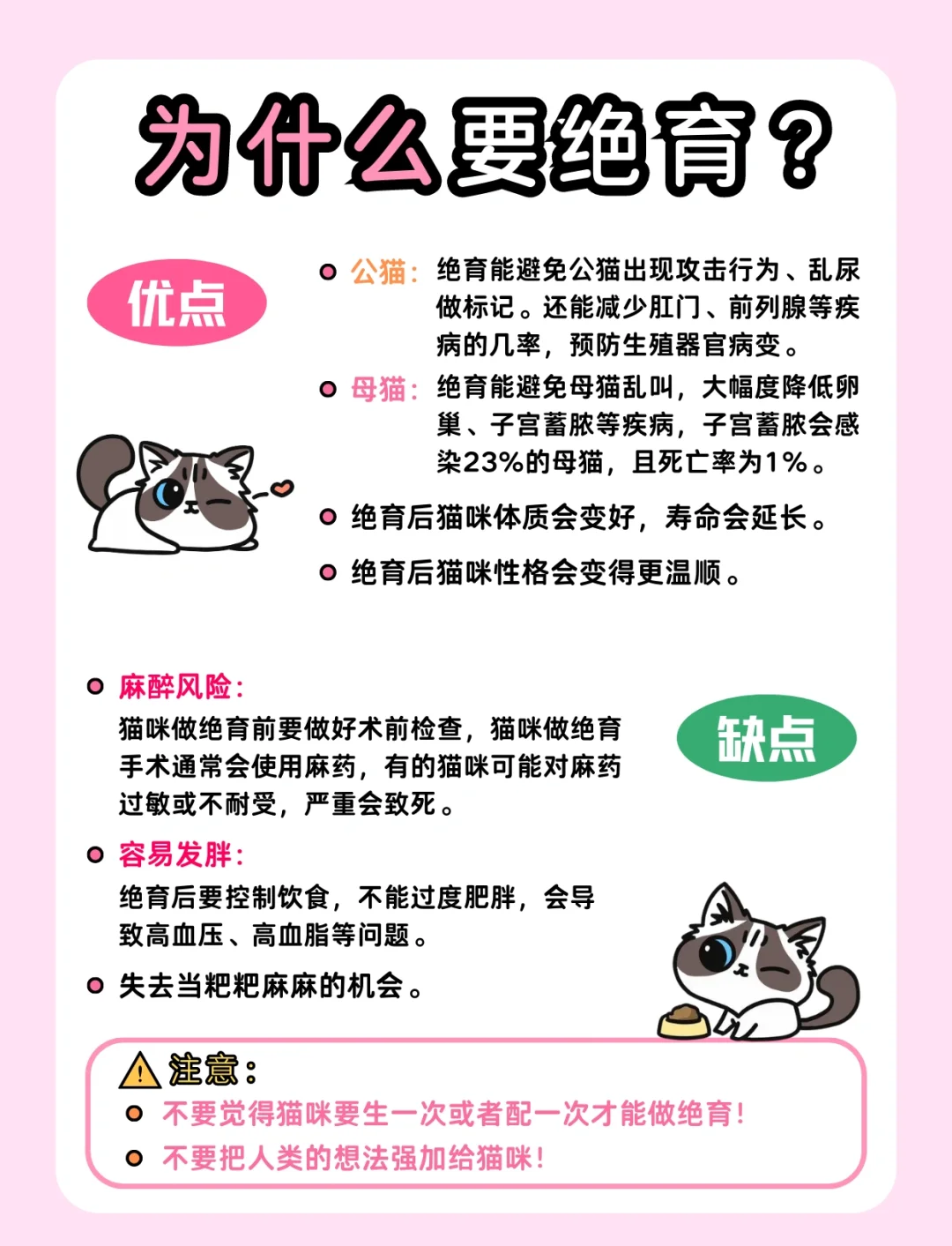 公猫绝育后多久可以洗澡(公猫绝育之后多久才能洗澡)
