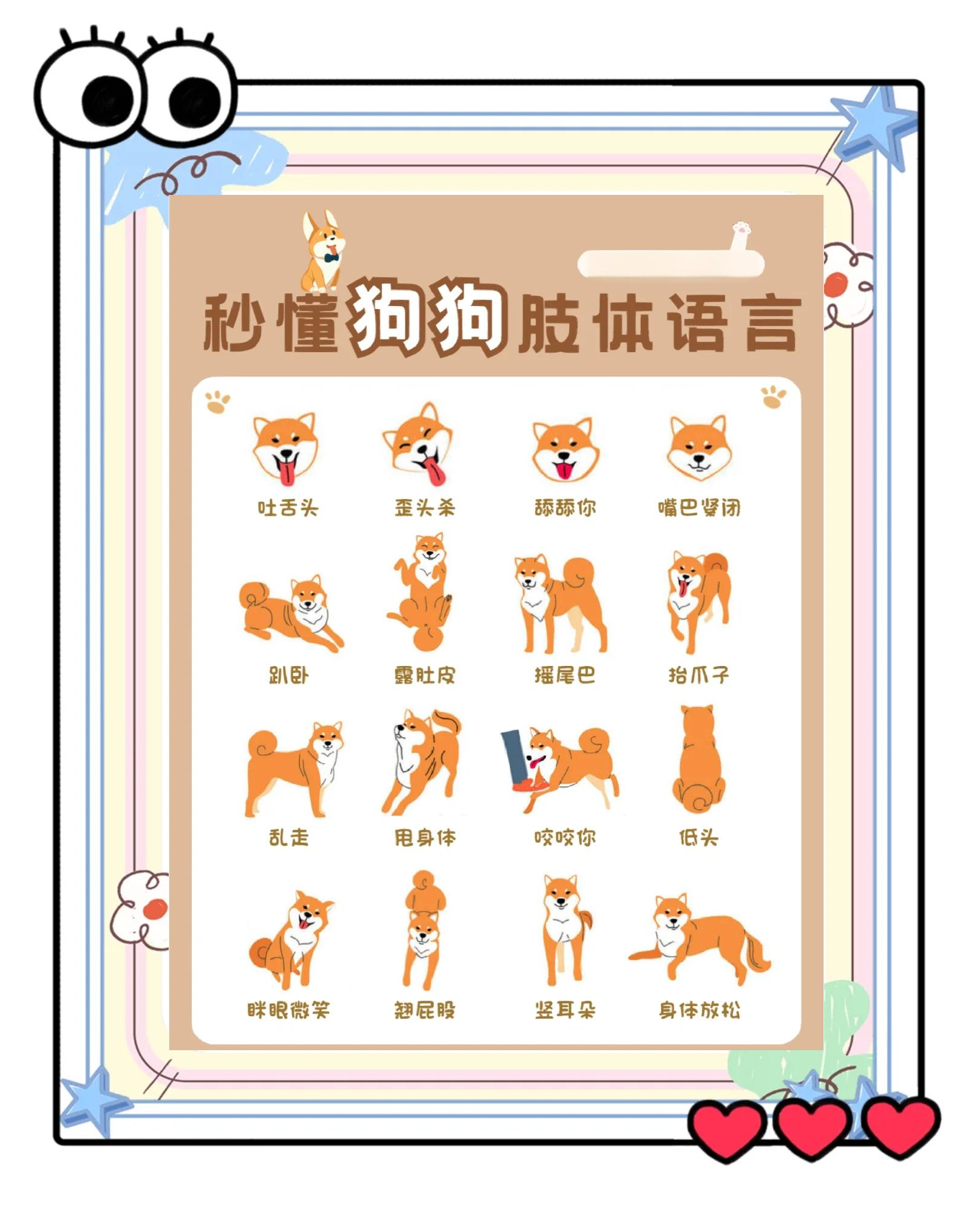 哈巴狗造句(用哈巴狗这个词语造句)