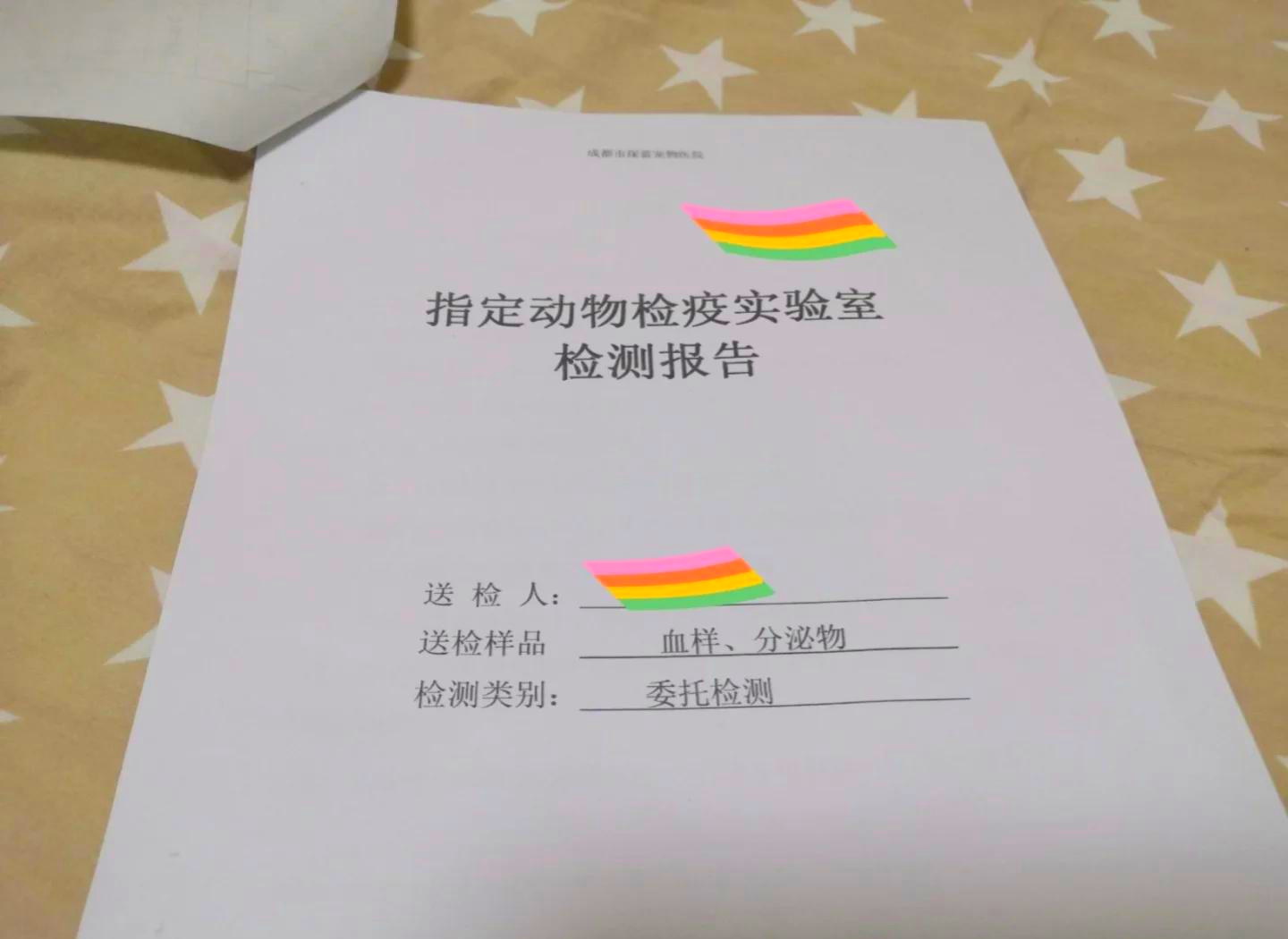 怎么跨省把猫咪带回家(怎么跨省把猫咪带回家跨省寄宠物) 怎么跨省把猫咪带回家(怎么跨省把猫咪带回家跨省寄宠物)