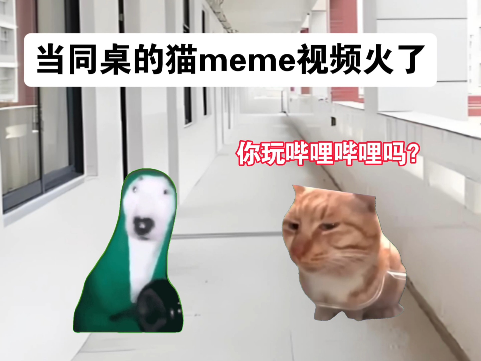 b站上的meme是什么意思(b站上的meme是什么意思网络用语)