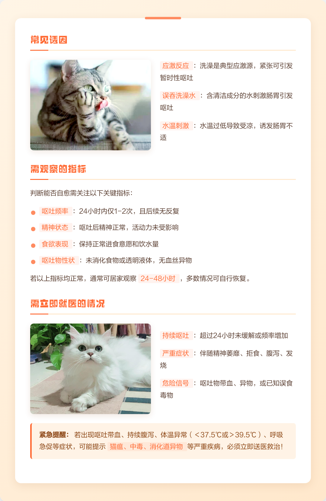 猫呕吐几天会自愈(猫咪呕吐完之后一般多久恢复) 猫呕吐几天会自愈(猫咪呕吐完之后一般多久恢复)