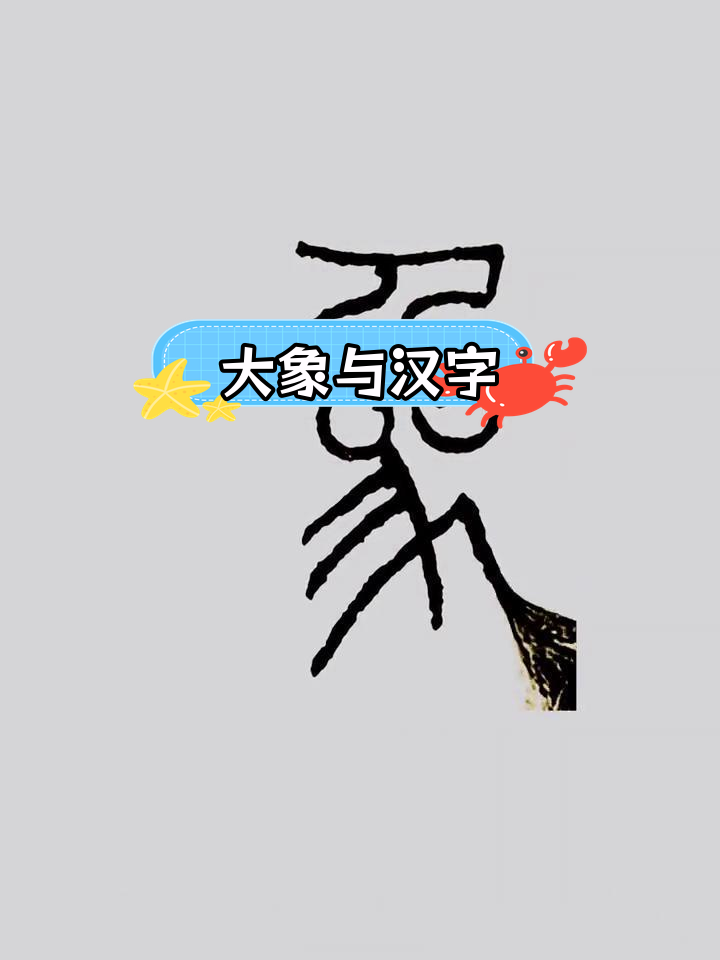 带象的四字成语(带象的四字成语有哪些)