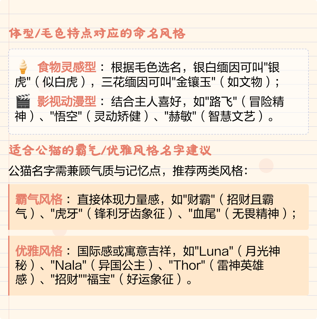 公猫取什么名字比较霸气(公猫应该取什么名字好听一点)