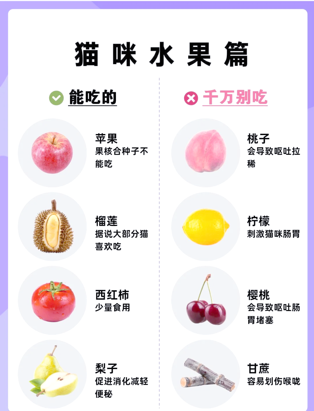 猫可以吃土豆吗(猫猫可以吃土豆嘛)