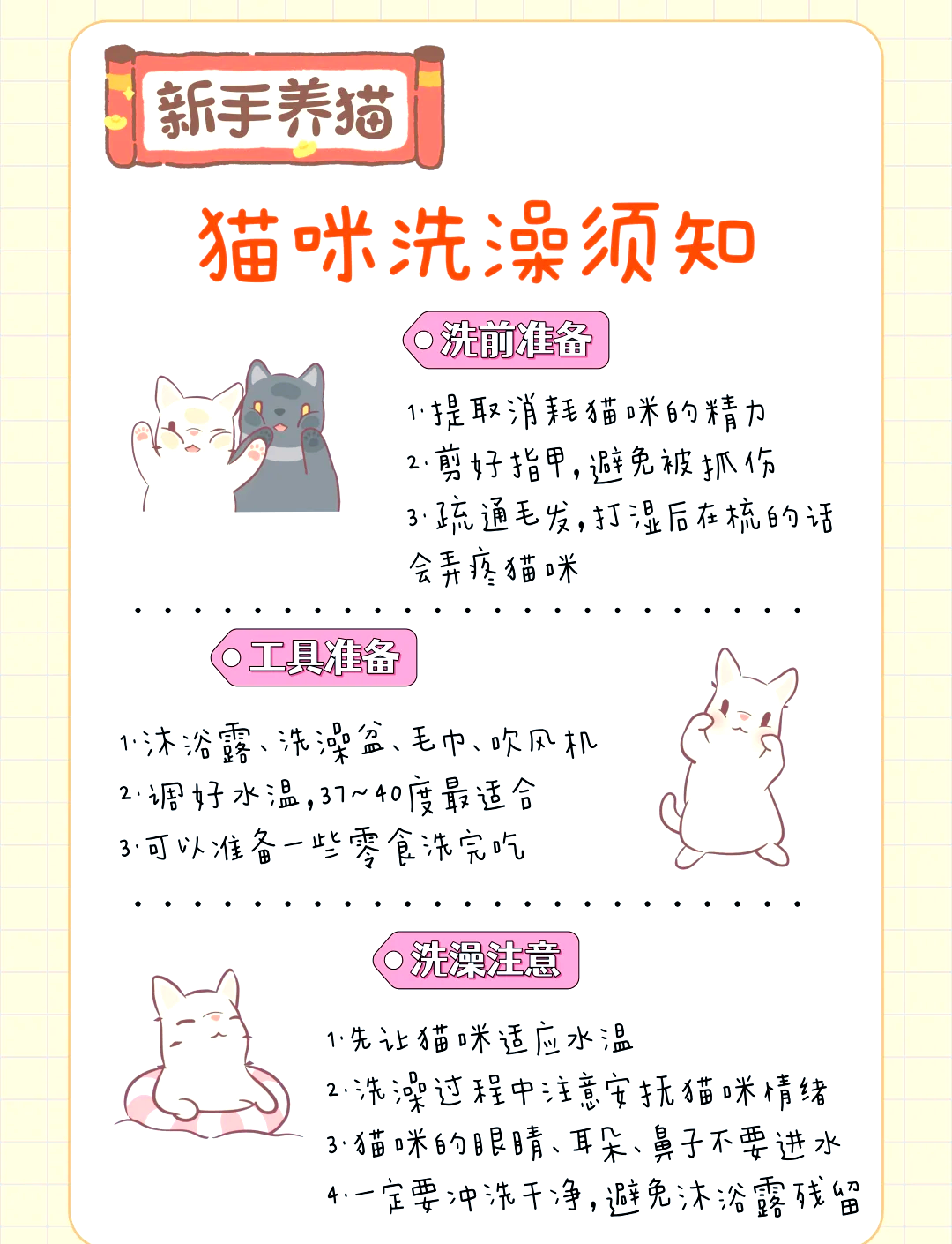 两个月小猫可以洗澡吗(两个月小猫可以洗澡吗没打疫苗) 两个月小猫可以洗澡吗(两个月小猫可以洗澡吗没打疫苗)