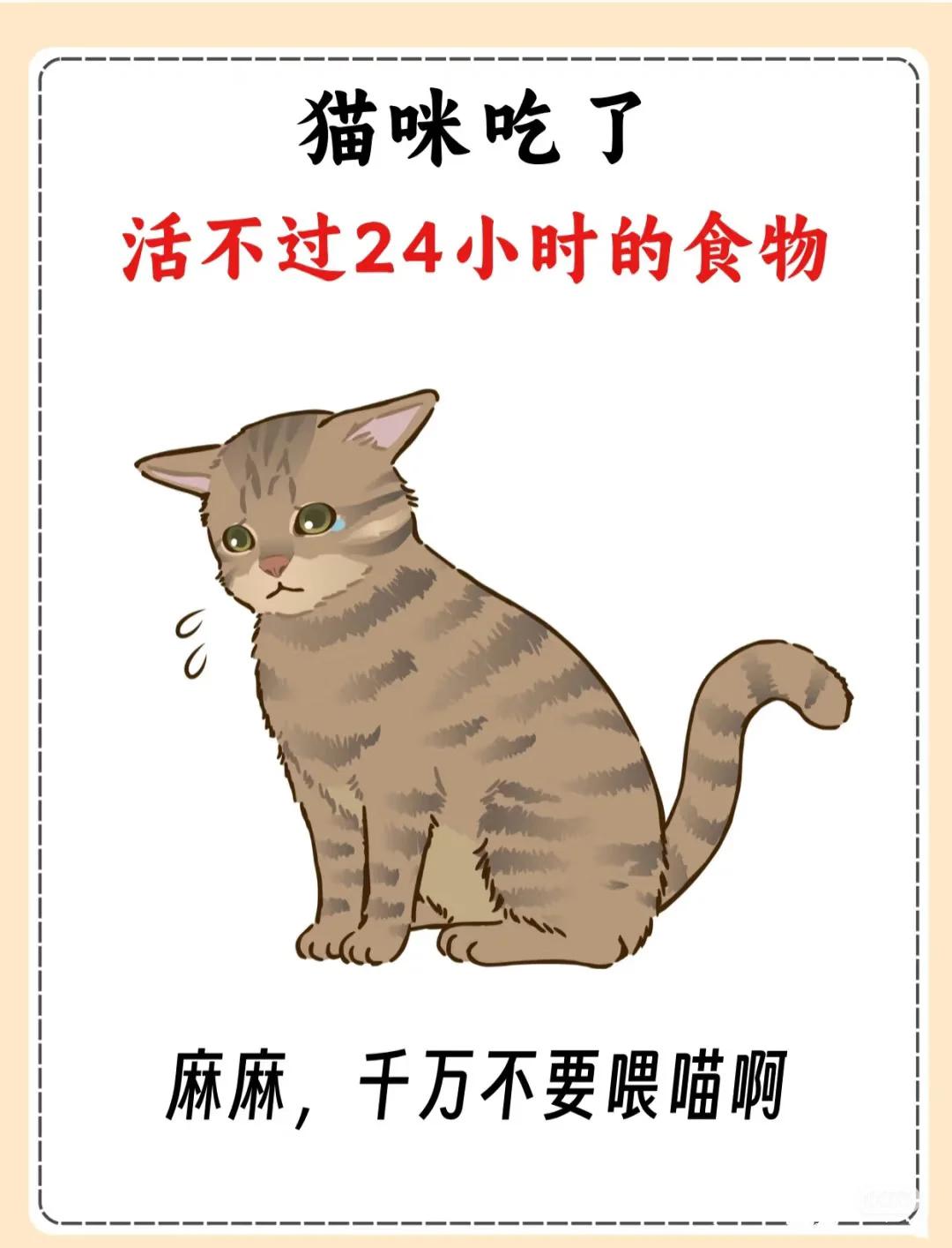 猫能吃糖吗(猫能吃糖吗为什么) 猫能吃糖吗(猫能吃糖吗为什么)