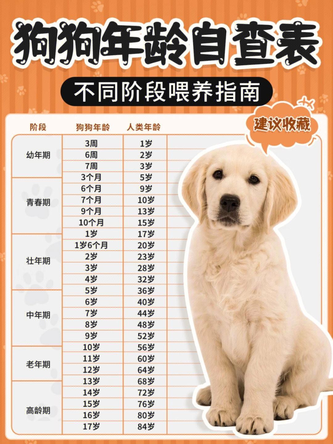 2022属狗的年龄表(2021年属狗的人年龄)