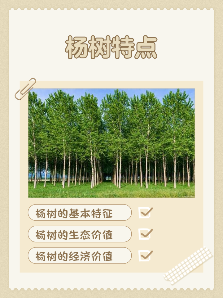 胡杨树的含义和象征意义(胡杨树的含义和象征意义是什么) 胡杨树的含义和象征意义(胡杨树的含义和象征意义是什么)