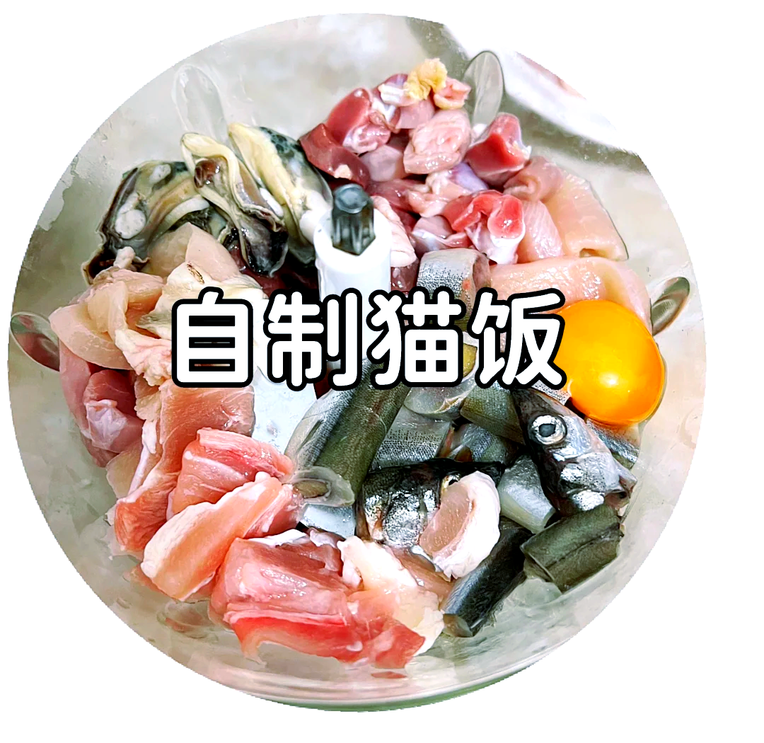 猫饭食谱大全(猫饭食谱大全科学猫饭) 猫饭食谱大全(猫饭食谱大全科学猫饭)