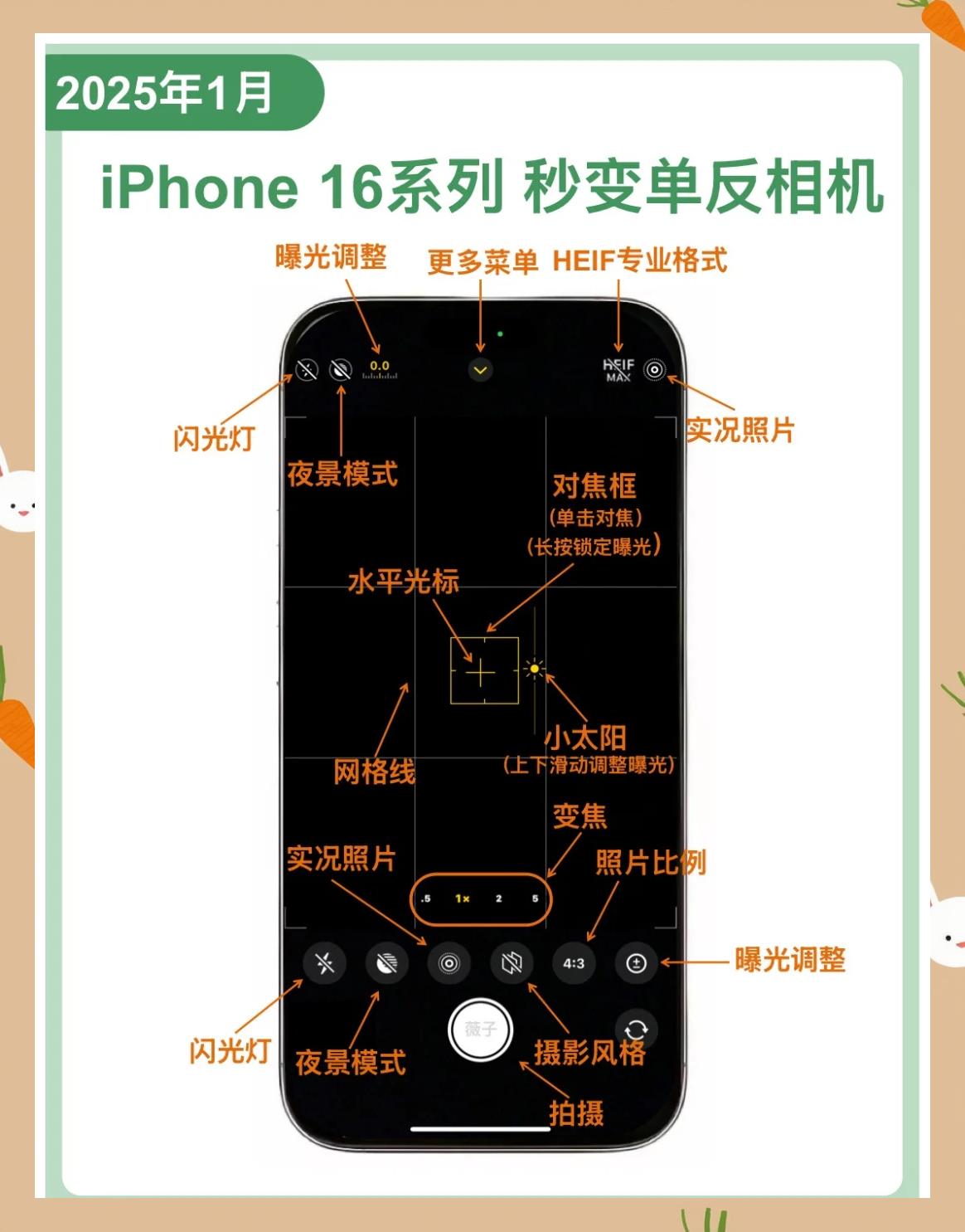 ios相机专业模式在哪(iphone相机专业模式在哪)
