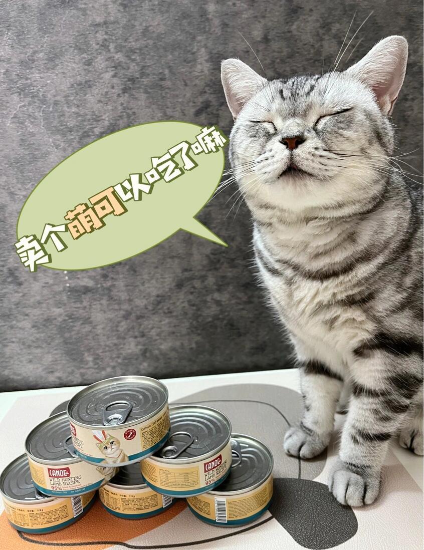 猫罐头哪个品牌的比较好(猫罐头哪个品牌的比较好吃)