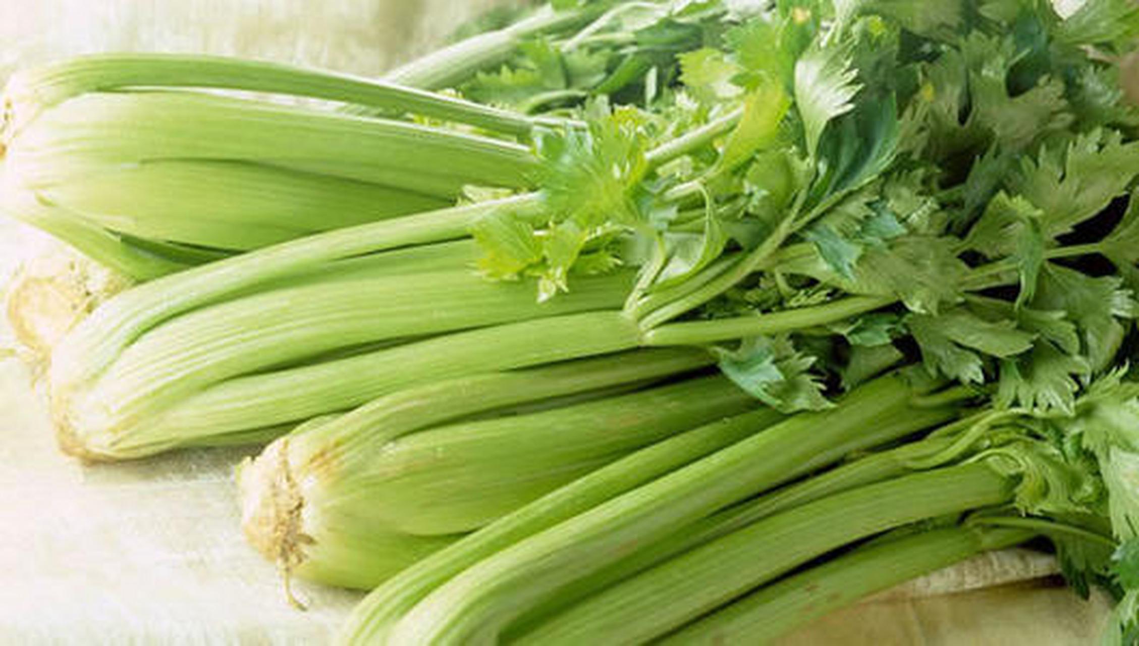 为什么晚上不能吃芹菜(为什么晚上生吃芹菜反而胖呢)