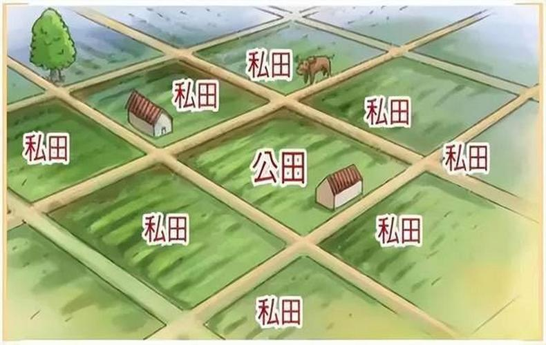 井田制的特点(井田制的特点和作用)