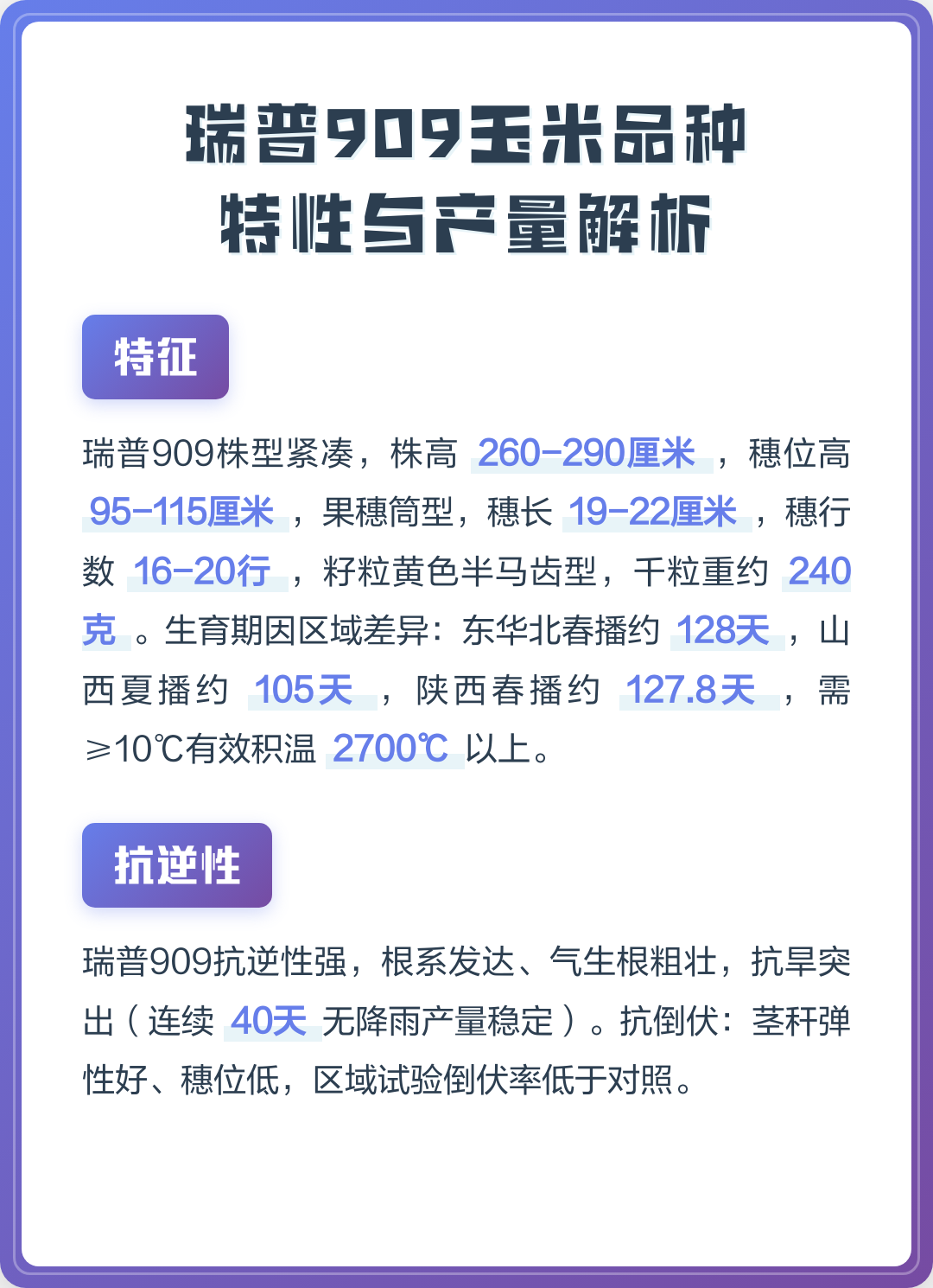 瑞普909玉米种子简介(瑞普909玉米种子简介绍)