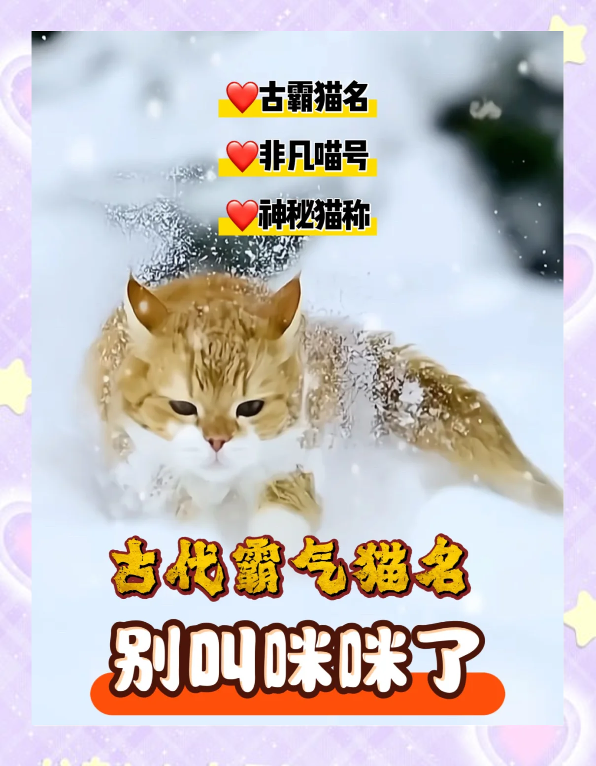 猫的网名(猫的网名不带猫字) 猫的网名(猫的网名不带猫字)
