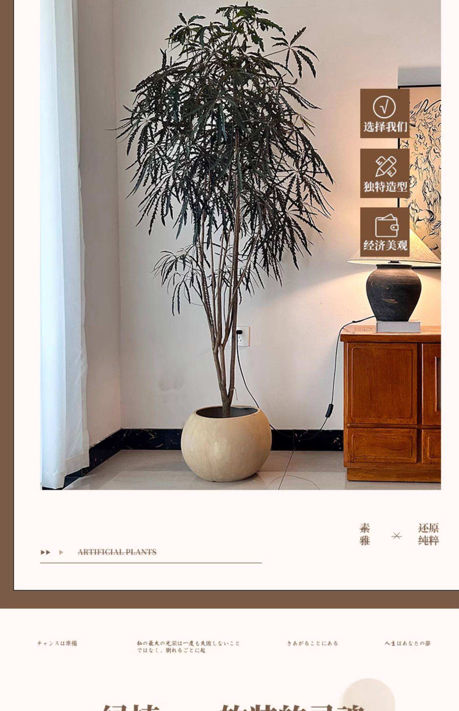 原神孔雀木(原神孔雀木分布图) 原神孔雀木(原神孔雀木分布图)