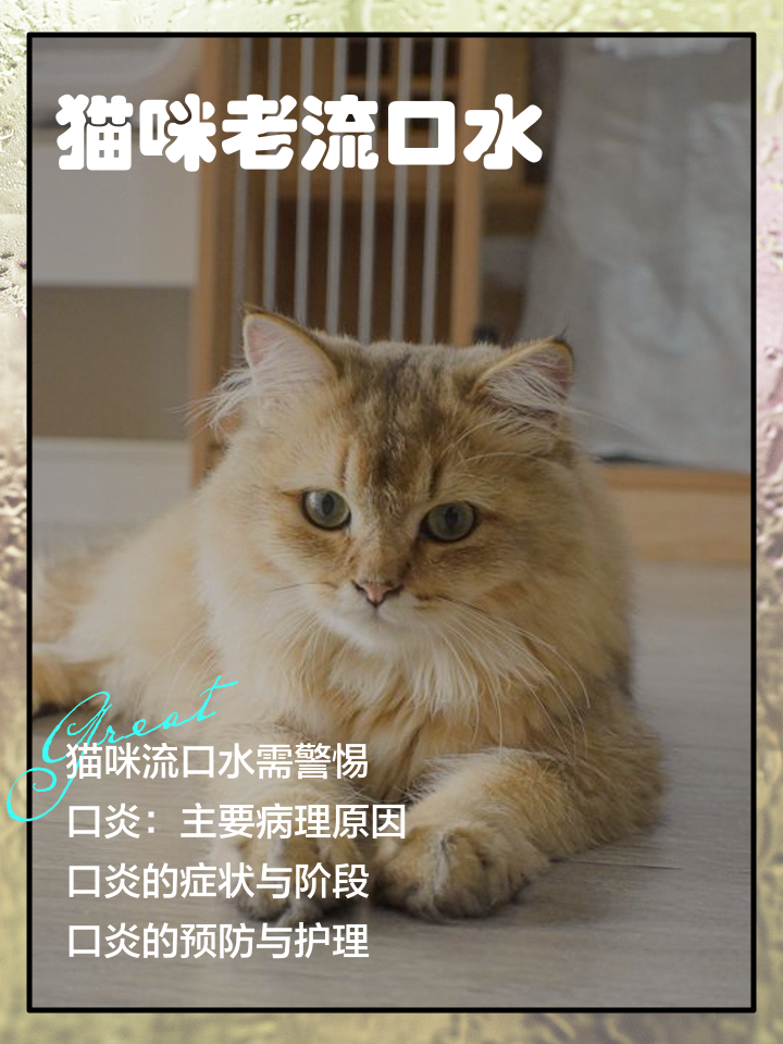 猫咪流口水粘稠透明能自愈吗(猫咪流口水粘稠透明能自愈吗图片)