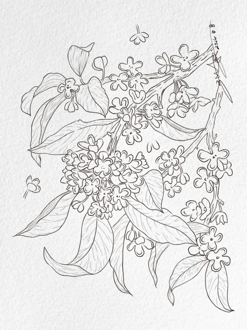 十二月花神(十二月花神对照表) 十二月花神(十二月花神对照表)
