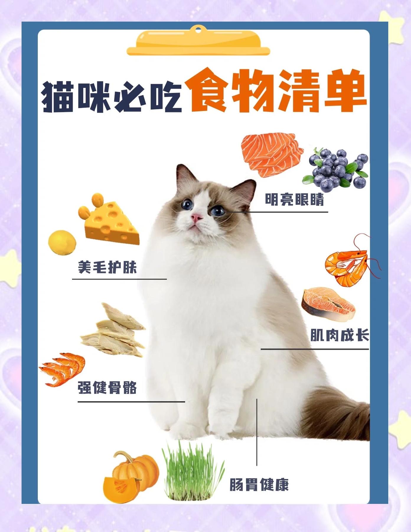 猫怀孕吃什么补充营养(猫怀孕吃什么补充营养最好) 猫怀孕吃什么补充营养(猫怀孕吃什么补充营养最好)
