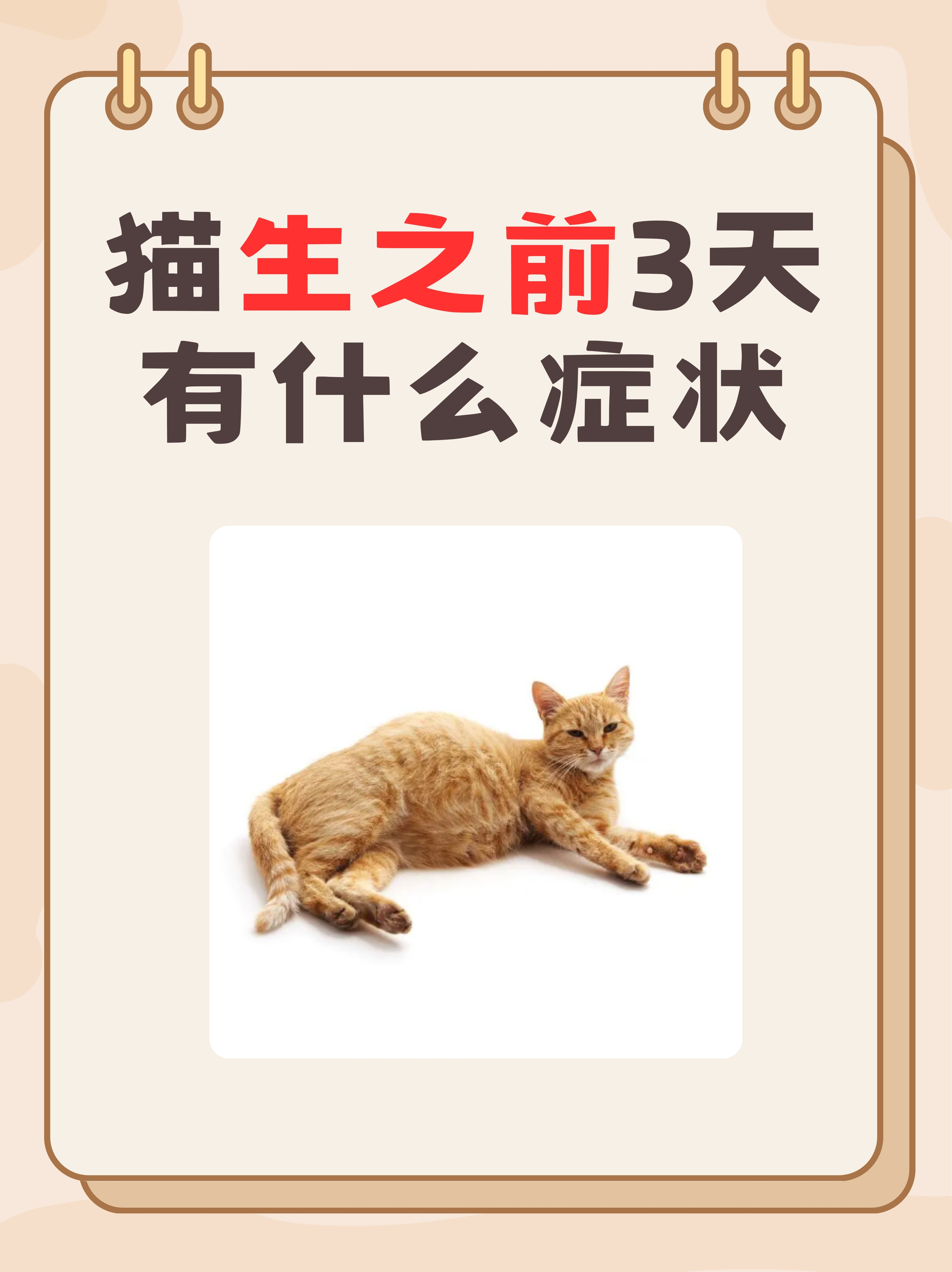 闹猫一般几天(闹猫第几天配比较好) 闹猫一般几天(闹猫第几天配比较好)