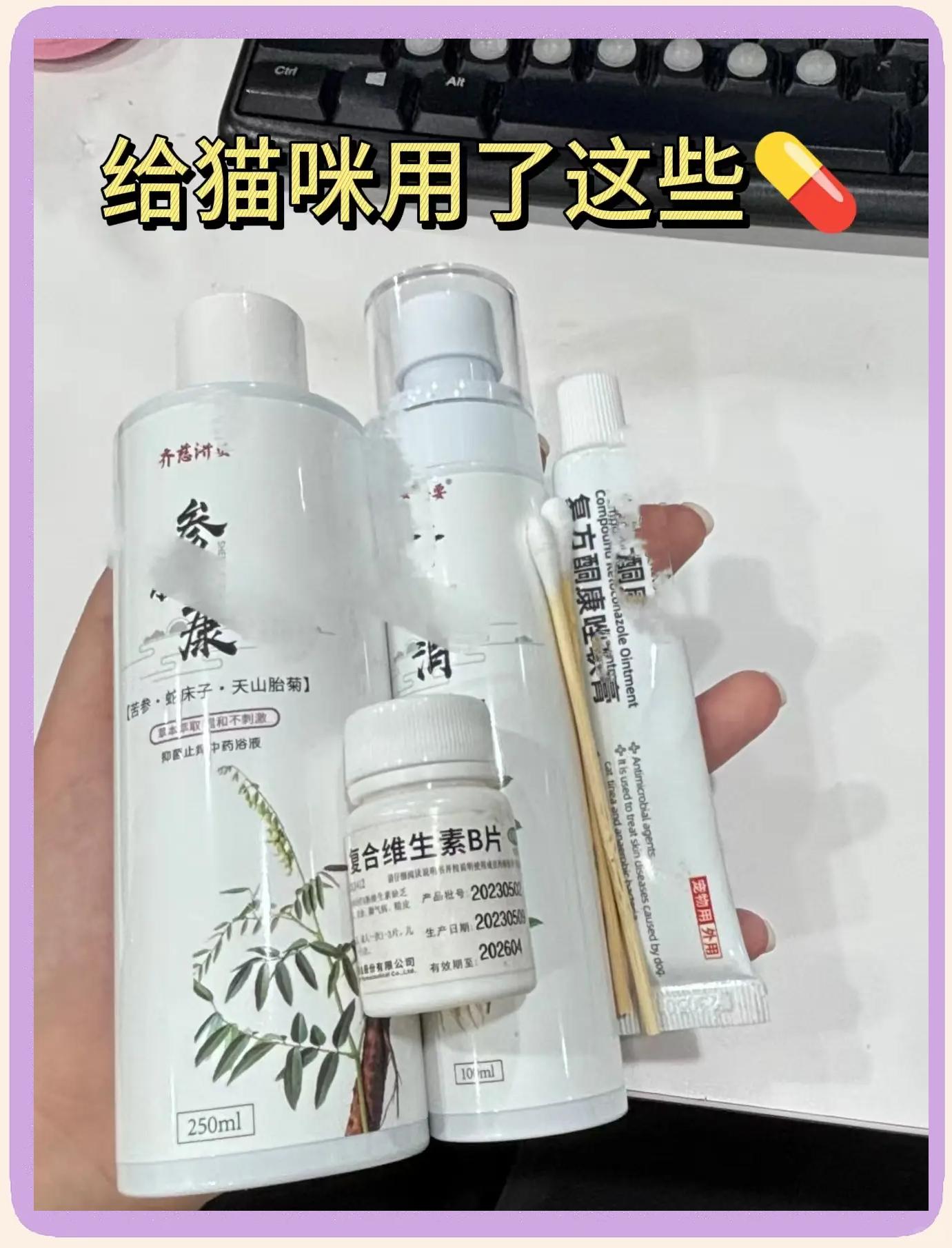 猫咪得了猫癣去药店买什么药(猫咪得了猫癣去药店买什么药?自己在家怎么护理比较好?) 猫咪得了猫癣去药店买什么药(猫咪得了猫癣去药店买什么药?自己在家怎么护理比较好?)