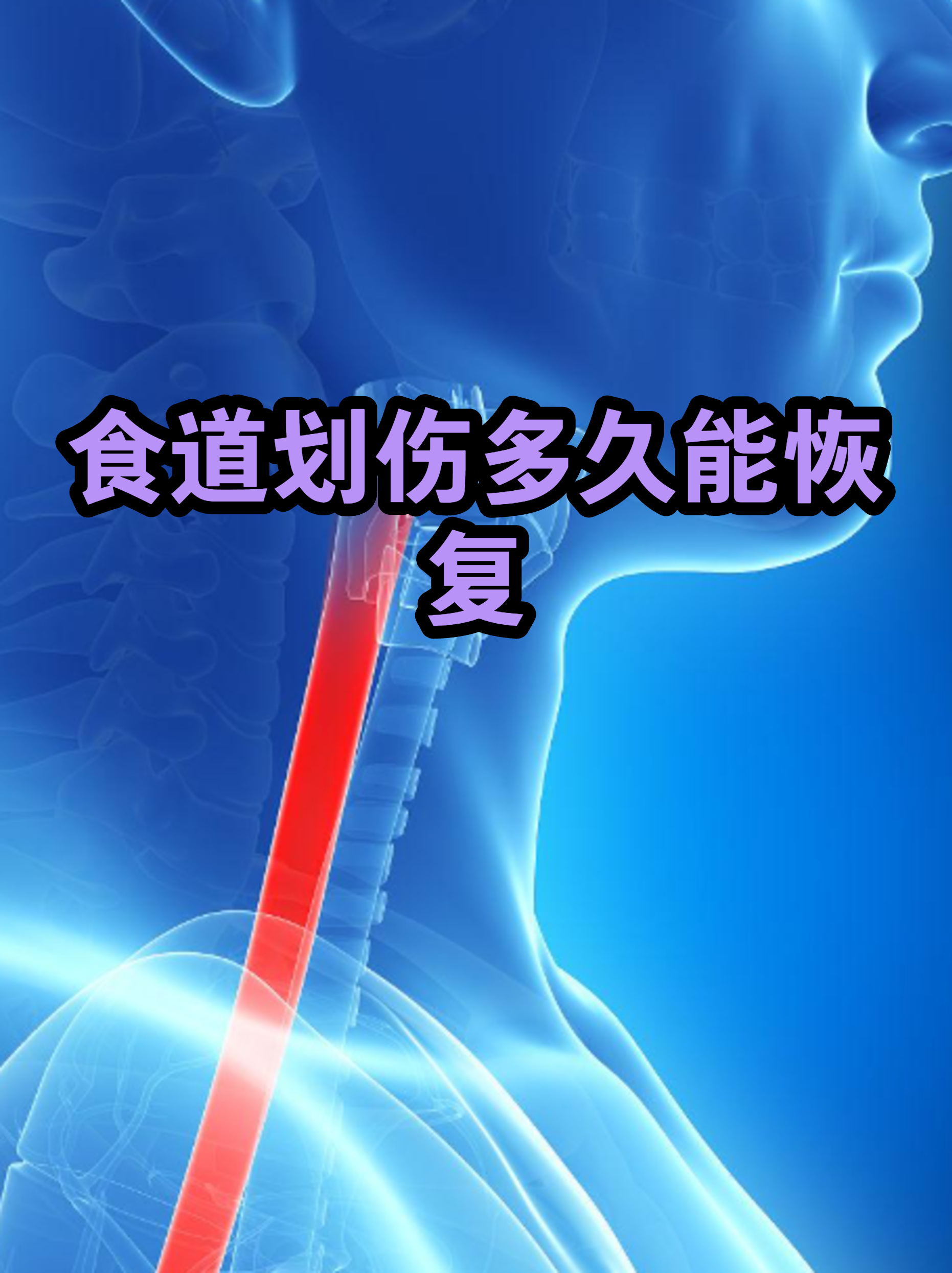 鱼刺的拼音(鱼刺的拼音是什么?) 鱼刺的拼音(鱼刺的拼音是什么?)