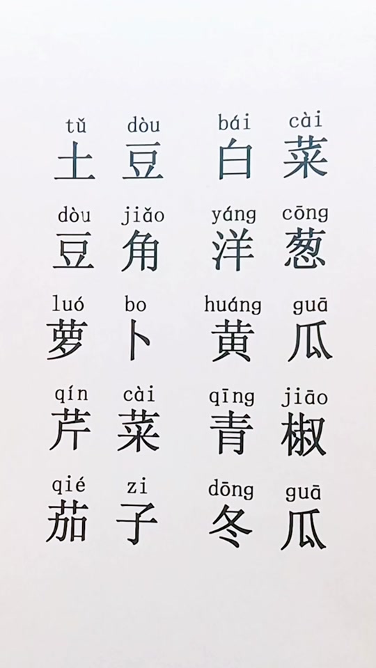 飞机的拼音怎么写(飞机的拼音怎么拼呢)