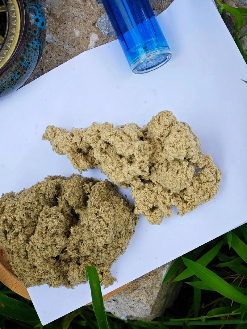 艾绒是什么(艾绒是什么中药)