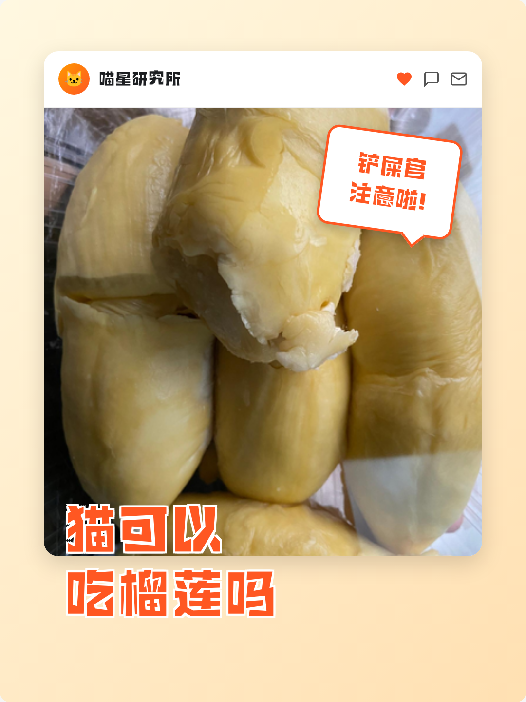 猫能不能吃榴莲(猫能不能吃榴莲千层) 猫能不能吃榴莲(猫能不能吃榴莲千层)