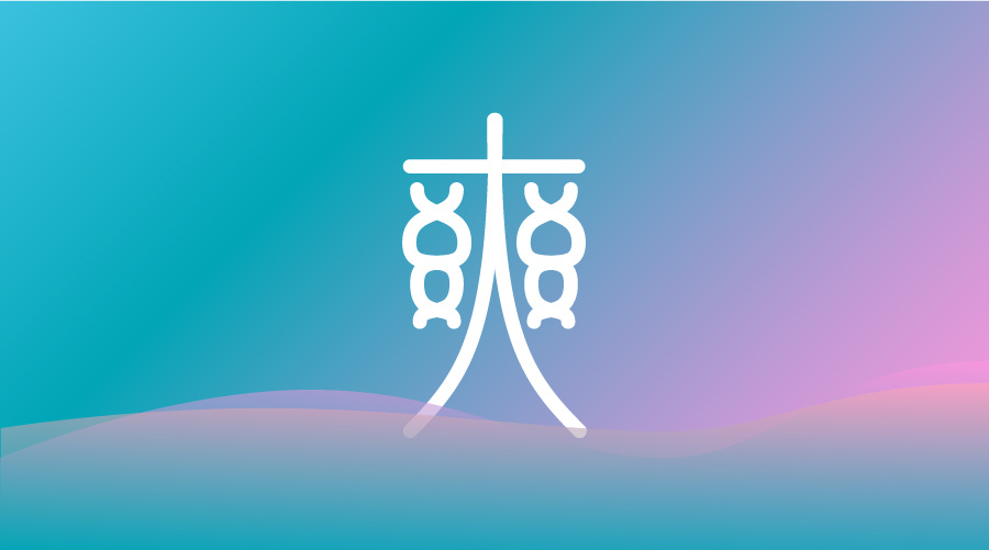 爽字词语(爽字词语四个字)