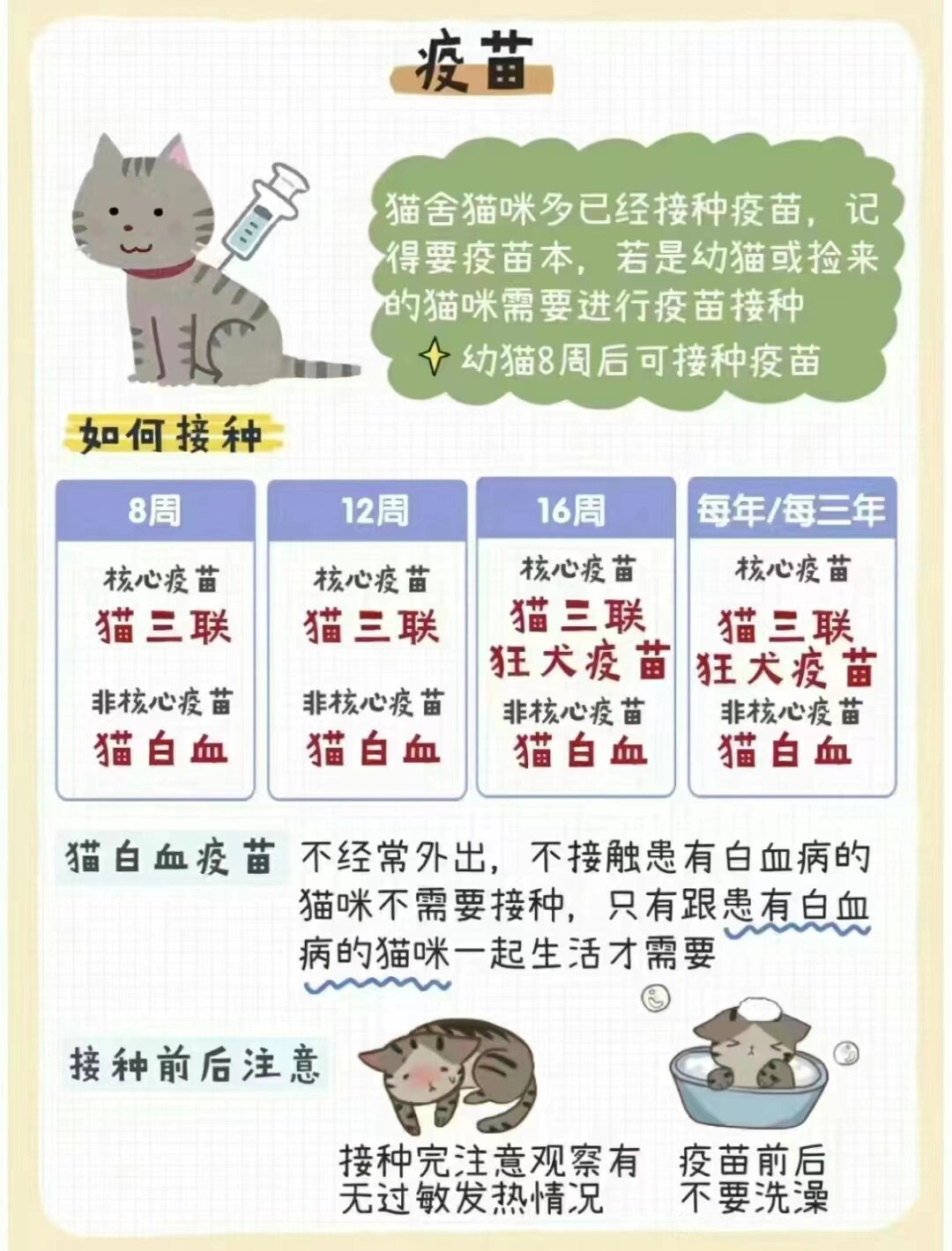 猫打完疫苗多久可以洗澡(猫打了疫苗几天后可以洗澡) 猫打完疫苗多久可以洗澡(猫打了疫苗几天后可以洗澡)