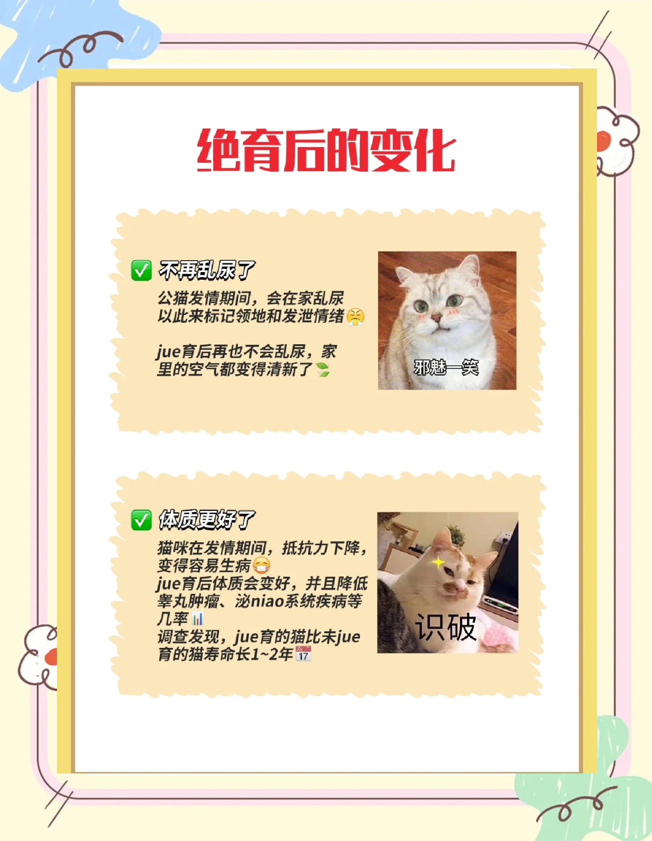 公猫绝育后多久可以吃东西(公猫绝育后多长时间能吃东西) 公猫绝育后多久可以吃东西(公猫绝育后多长时间能吃东西)