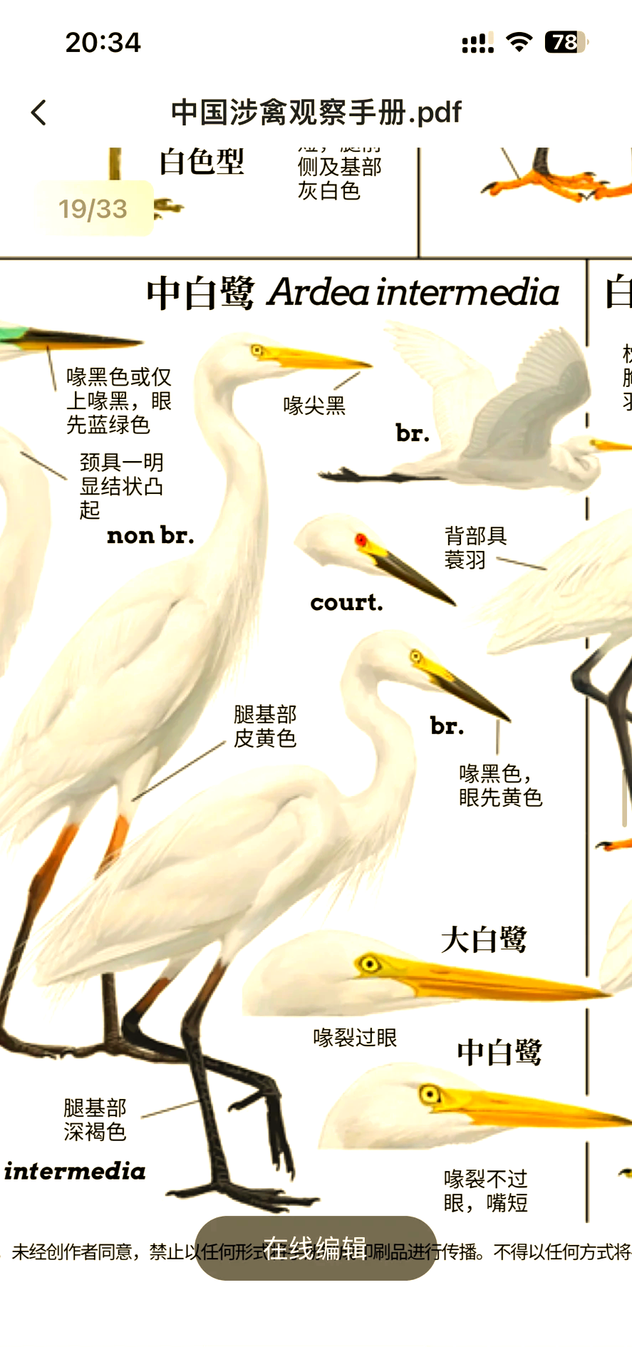 西塞山前白鹭飞是什么生肖(西塞山前白鹭飞出自哪首诗?) 西塞山前白鹭飞是什么生肖(西塞山前白鹭飞出自哪首诗?)