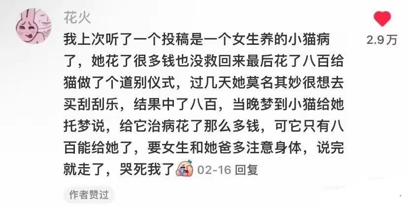 去世的猫咪会托梦给主人吗(宠物猫死了会给主人托梦吗?) 去世的猫咪会托梦给主人吗(宠物猫死了会给主人托梦吗?)