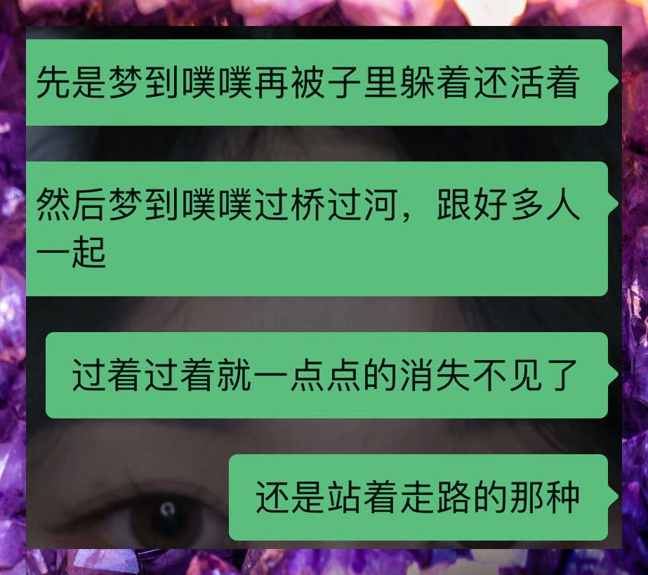 去世的猫咪会托梦给主人吗(宠物猫死了会给主人托梦吗?) 去世的猫咪会托梦给主人吗(宠物猫死了会给主人托梦吗?)