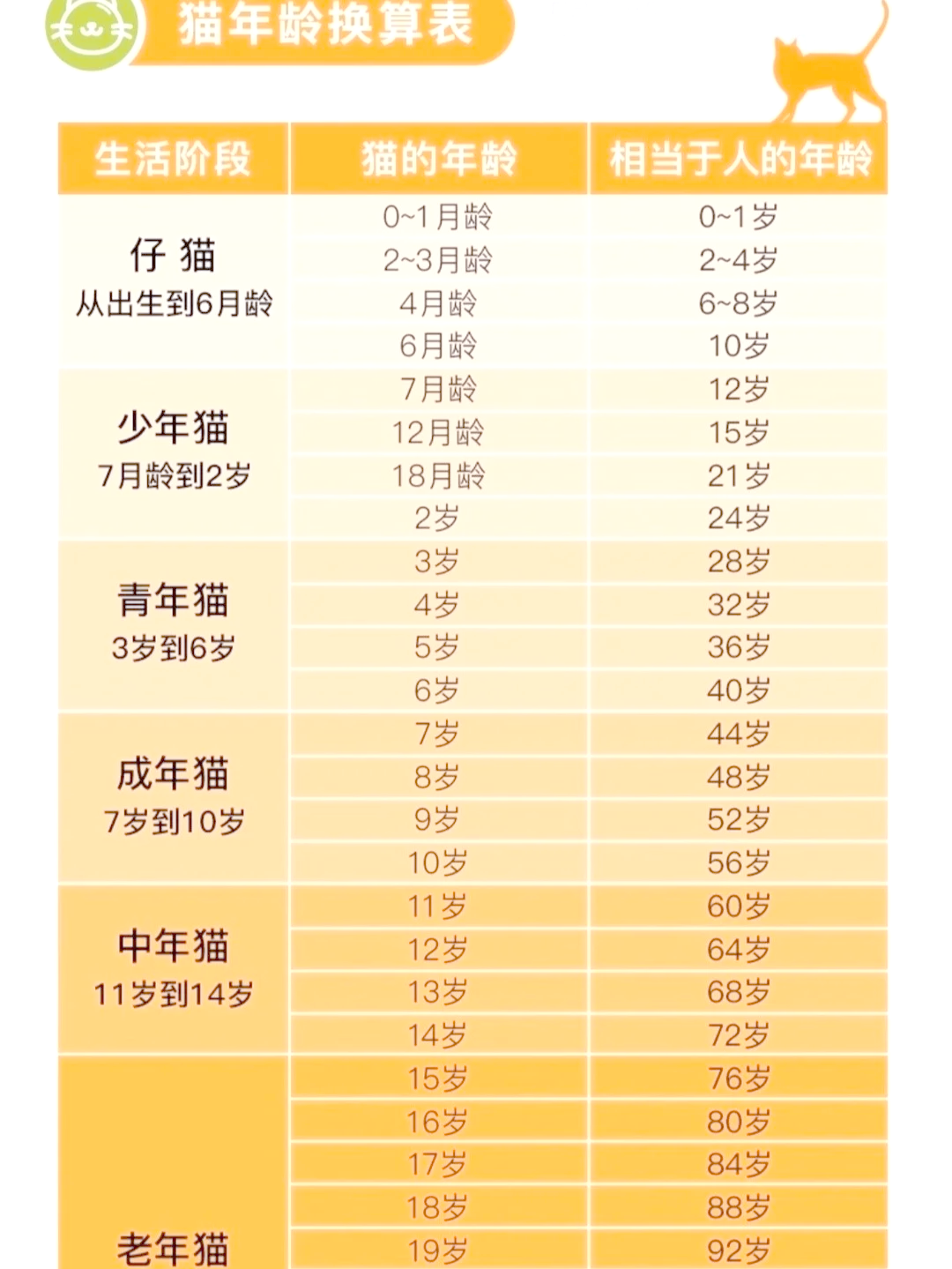 猫的年龄几个月算一岁(猫几个月是一岁一年猫是几岁)
