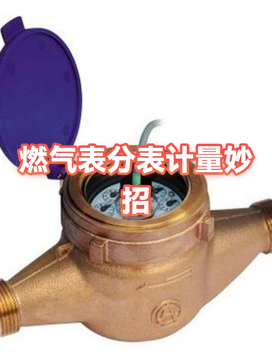 如何查询燃气用量明细(如何查询燃气用量明细表)