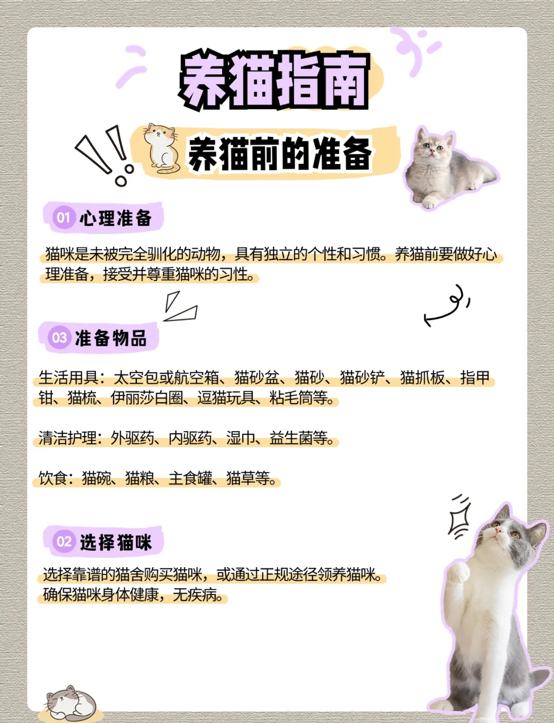 打猫打哪里比较好(打猫的什么地方最痛) 打猫打哪里比较好(打猫的什么地方最痛)