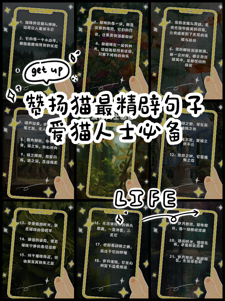 猫喜欢靠近有灵气的人(猫主动过来蹭是好兆头嘛)
